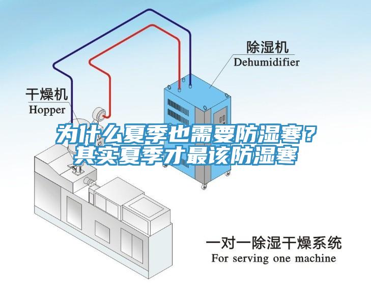 為什么夏季也需要防濕寒？其實夏季才最該防濕寒