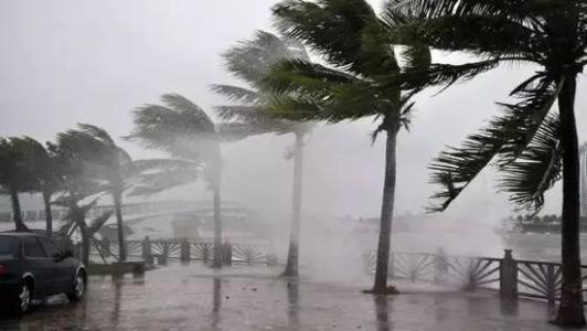 8月臺風(fēng)雨即將來，除濕機還得用起來