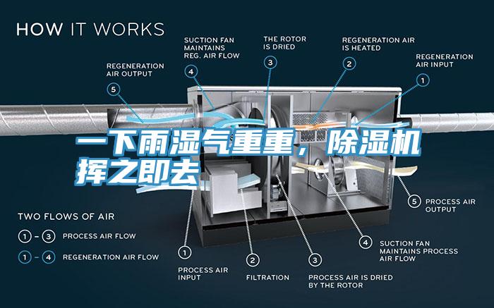 一下雨濕氣重重，除濕機揮之即去