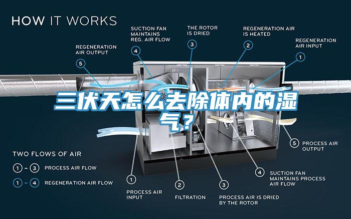 三伏天怎么去除體內(nèi)的濕氣？