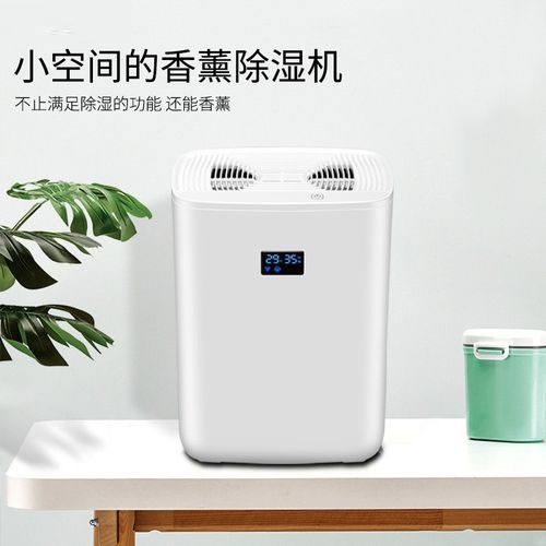 清明過后，潮氣噠噠，怎么除潮？