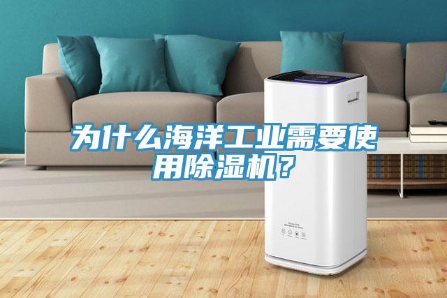 為什么海洋工業(yè)需要使用除濕機？