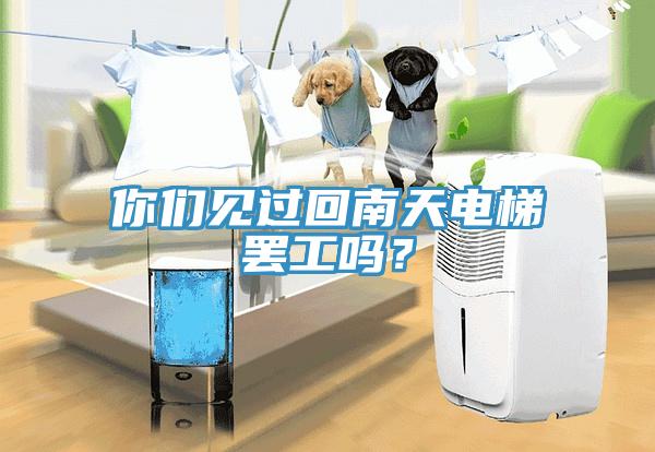 你們見過回南天電梯罷工嗎？