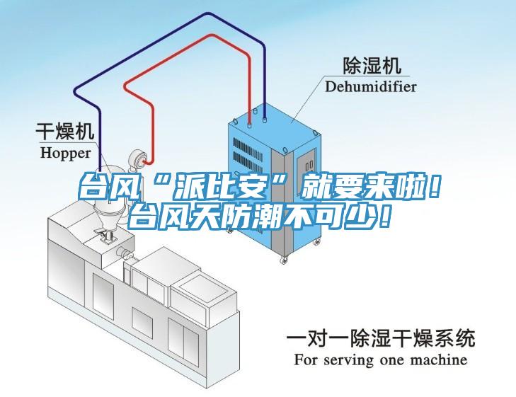 臺風(fēng)“派比安”就要來啦！臺風(fēng)天防潮不可少！