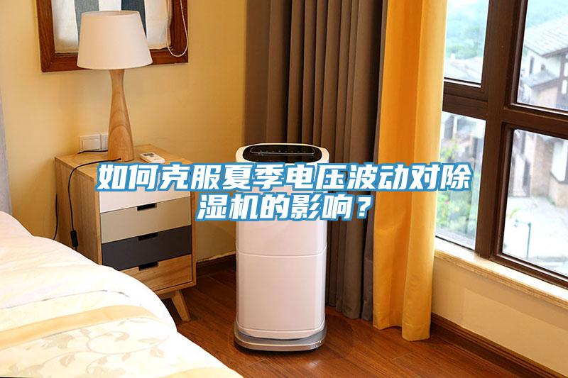 如何克服夏季電壓波動對除濕機的影響？