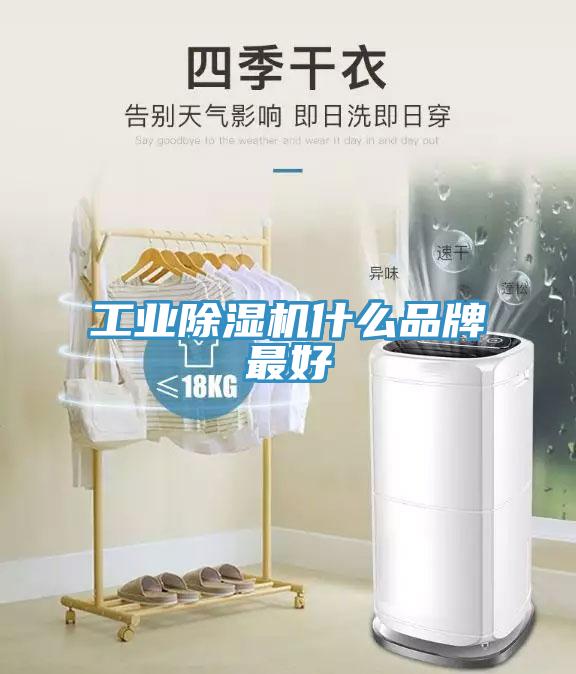 工業(yè)除濕機什么品牌最好