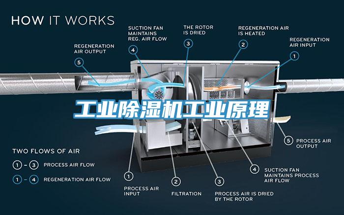 工業(yè)除濕機工業(yè)原理