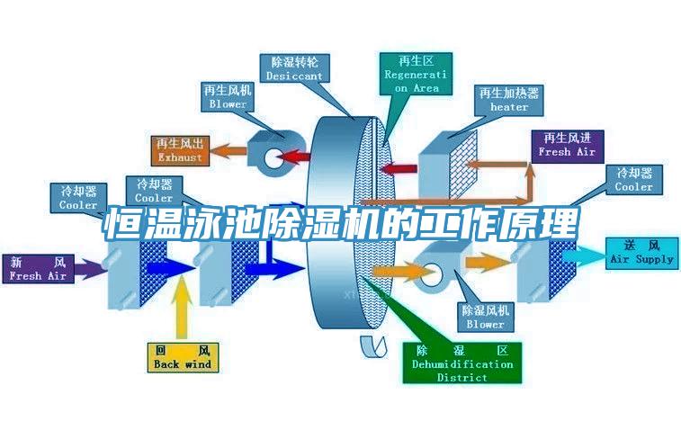 恒溫泳池除濕機(jī)的工作原理