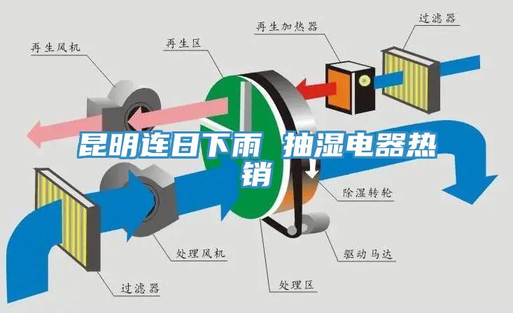 昆明連日下雨 抽濕電器熱銷