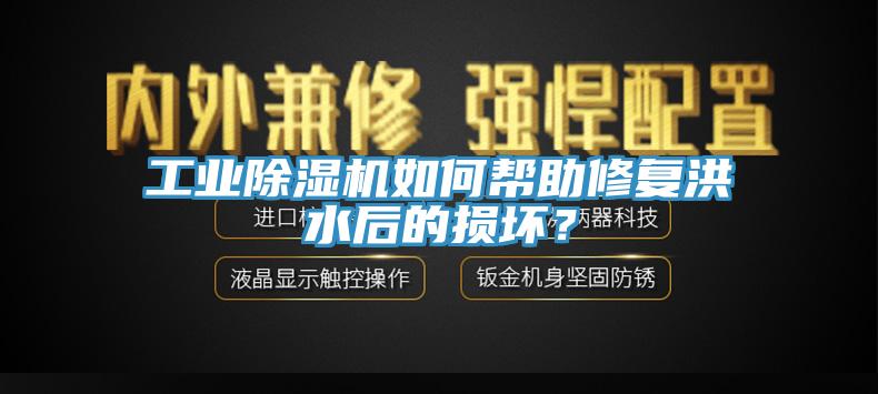 工業(yè)除濕機如何幫助修復洪水后的損壞？