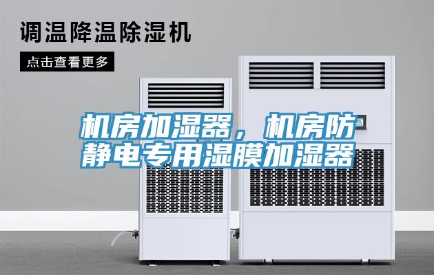 機(jī)房加濕器，機(jī)房防靜電專用濕膜加濕器