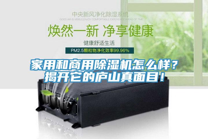 家用和商用除濕機(jī)怎么樣？揭開它的廬山真面目！