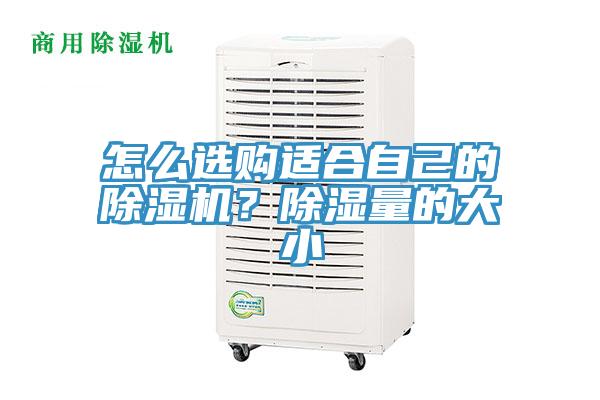 怎么選購適合自己的除濕機(jī)？除濕量的大小