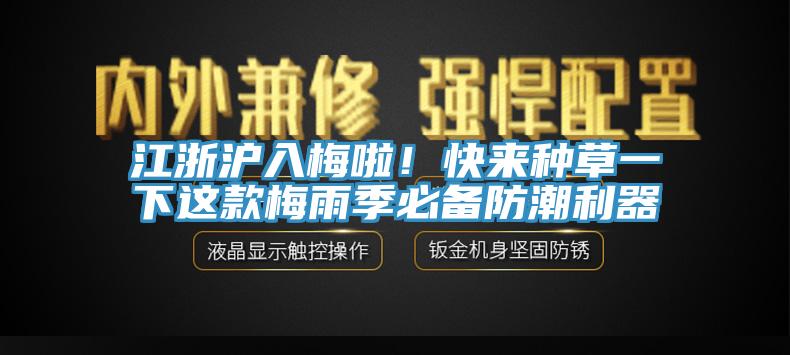 江浙滬入梅啦！快來種草一下這款梅雨季必備防潮利器