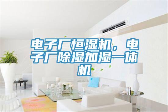 電子廠恒濕機，電子廠除濕加濕一體機