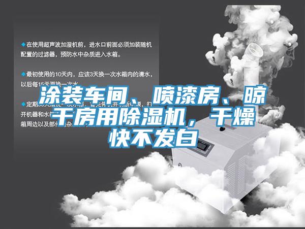 涂裝車間、噴漆房、晾干房用除濕機，干燥快不發(fā)白