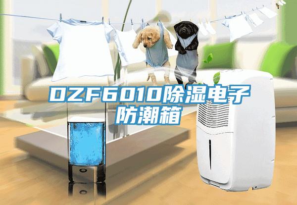 DZF6010除濕電子防潮箱