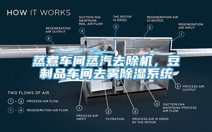 蒸煮車間蒸汽去除機，豆制品車間去霧除濕系統(tǒng)