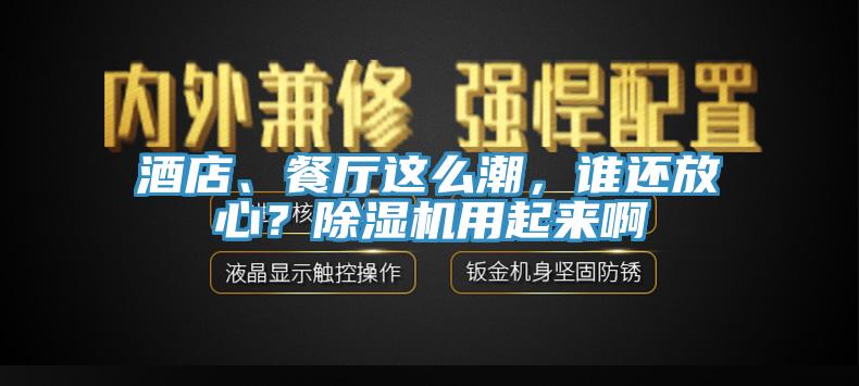 酒店、餐廳這么潮，誰(shuí)還放心？除濕機(jī)用起來(lái)啊