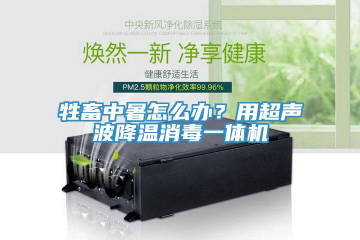 牲畜中暑怎么辦？用超聲波降溫消毒一體機