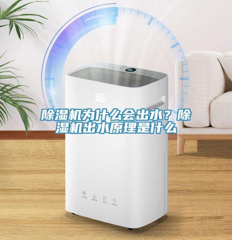 除濕機(jī)為什么會出水？除濕機(jī)出水原理是什么