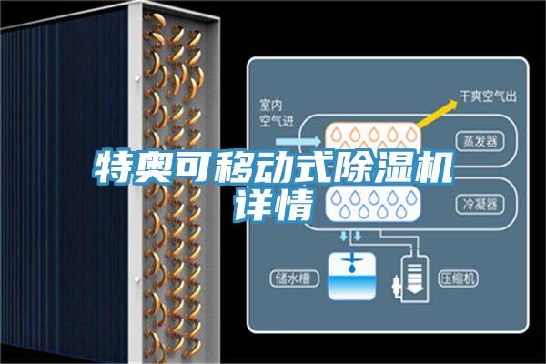 特奧可移動式除濕機(jī)詳情