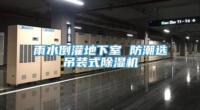 雨水倒灌地下室 防潮選吊裝式除濕機(jī)