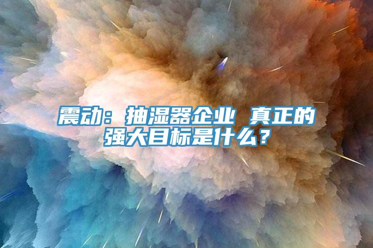 震動：抽濕器企業(yè) 真正的強大目標是什么？