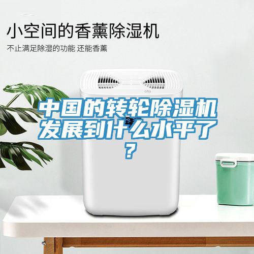 中國的轉(zhuǎn)輪除濕機發(fā)展到什么水平了？