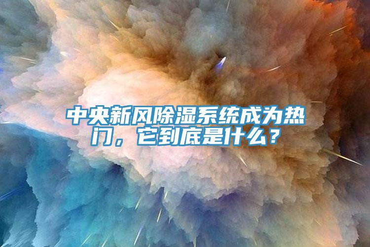 中央新風(fēng)除濕系統(tǒng)成為熱門，它到底是什么？