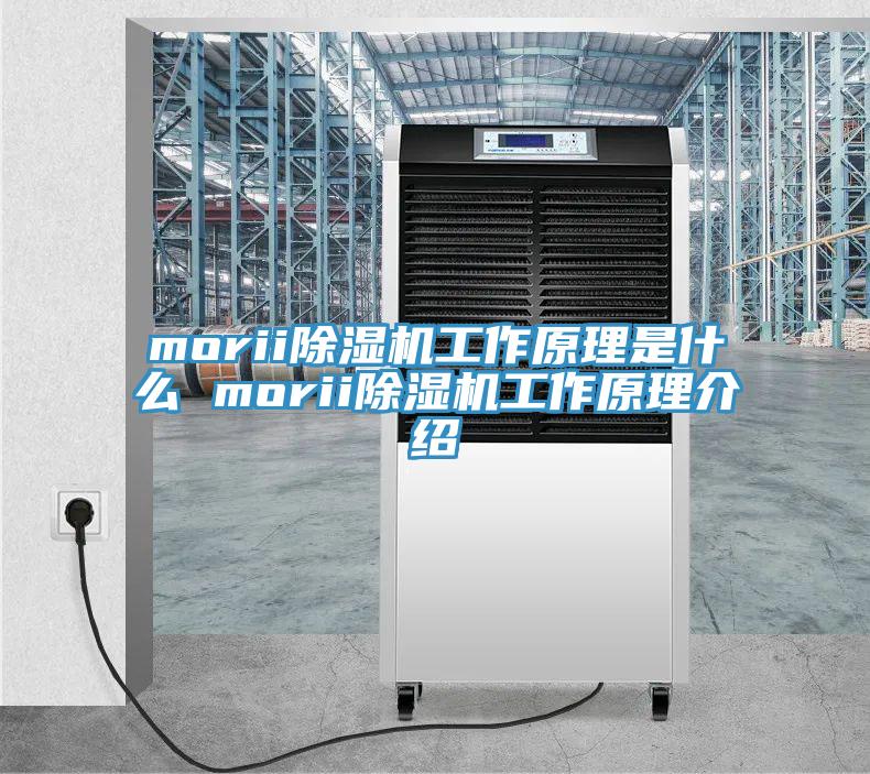 morii除濕機工作原理是什么 morii除濕機工作原理介紹