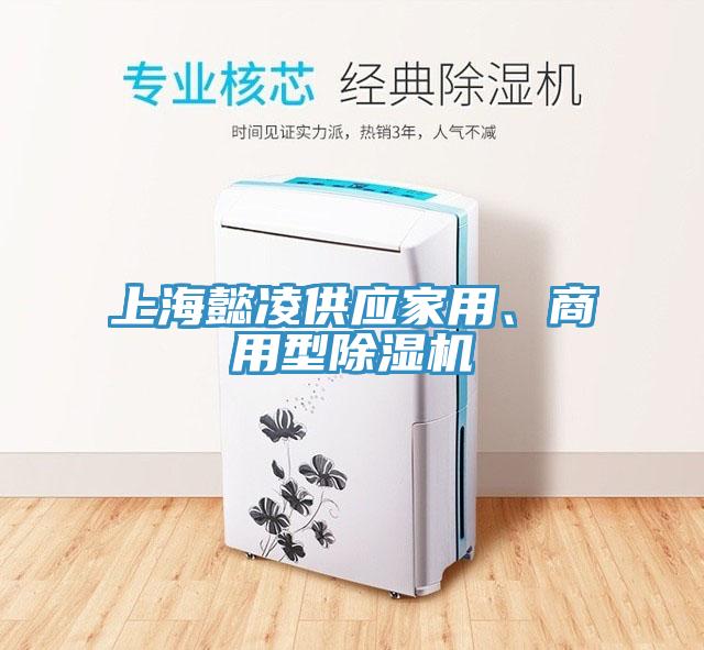 上海懿凌供應(yīng)家用、商用型除濕機