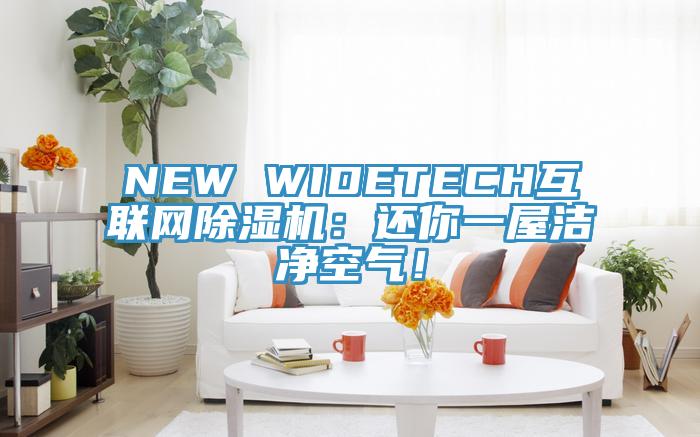 NEW WIDETECH互聯(lián)網除濕機：還你一屋潔凈空氣！