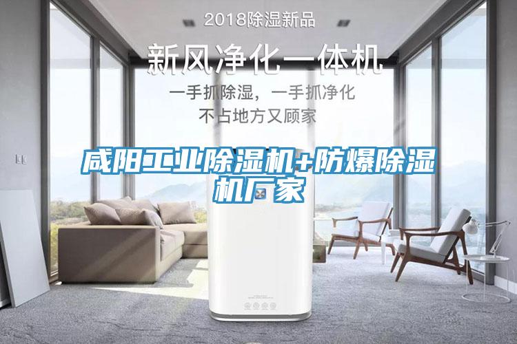 咸陽工業(yè)除濕機+防爆除濕機廠家