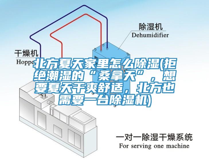 北方夏天家里怎么除濕(拒絕潮濕的“桑拿天”，想要夏天干爽舒適，北方也需要一臺(tái)除濕機(jī))