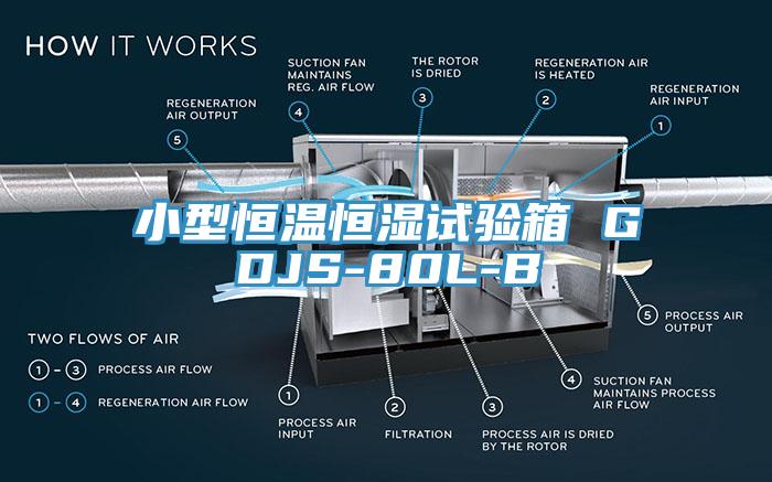 小型恒溫恒濕試驗(yàn)箱 GDJS-80L-B