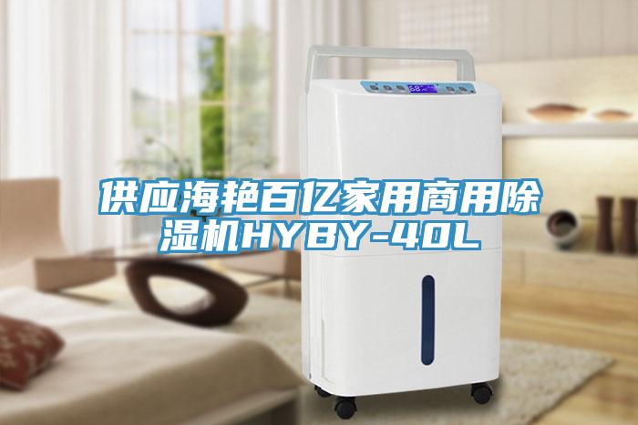 供應(yīng)海艷百億家用商用除濕機HYBY-40L