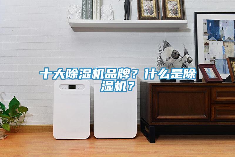 十大除濕機(jī)品牌？什么是除濕機(jī)？