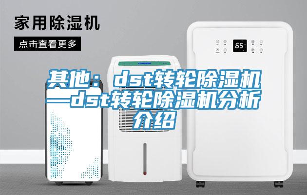 其他：dst轉輪除濕機—dst轉輪除濕機分析介紹