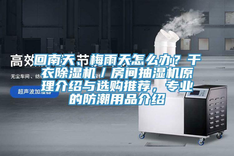 回南天、梅雨天怎么辦？干衣除濕機／房間抽濕機原理介紹與選購?fù)扑]，專業(yè)的防潮用品介紹