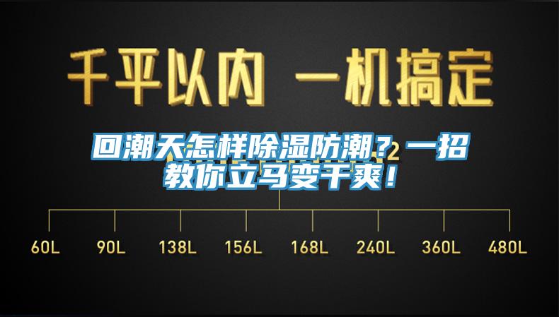 回潮天怎樣除濕防潮？一招教你立馬變干爽！