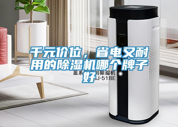 千元價位，省電又耐用的除濕機(jī)哪個牌子好