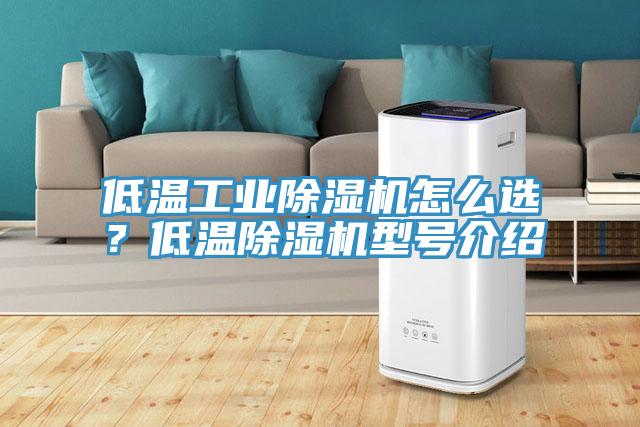 低溫工業(yè)除濕機怎么選？低溫除濕機型號介紹