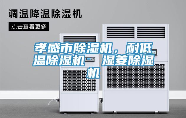 孝感市除濕機，耐低溫除濕機  濕菱除濕機