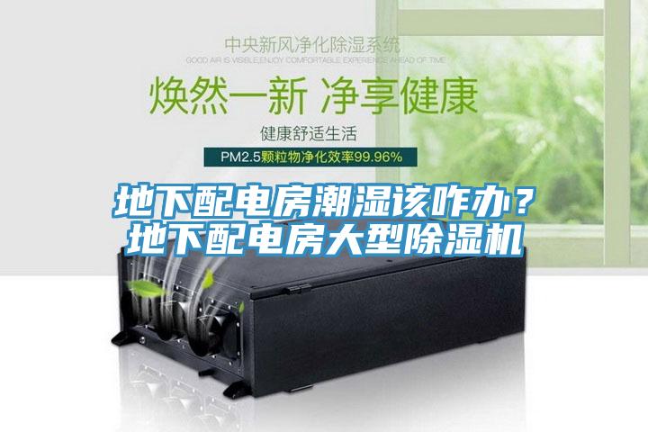 地下配電房潮濕該咋辦？地下配電房大型除濕機(jī)