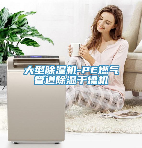 大型除濕機-PE燃氣管道除濕干燥機