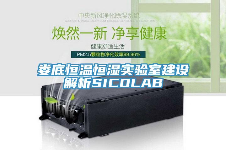 婁底恒溫恒濕實驗室建設解析SICOLAB