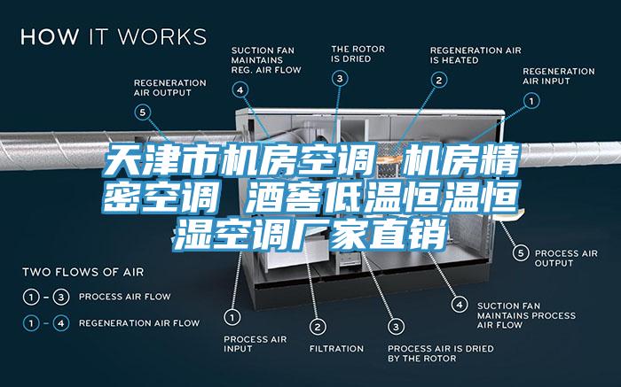 天津市機(jī)房空調(diào) 機(jī)房精密空調(diào) 酒窖低溫恒溫恒濕空調(diào)廠家直銷(xiāo)