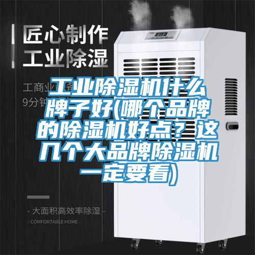 工業(yè)除濕機(jī)什么牌子好(哪個(gè)品牌的除濕機(jī)好點(diǎn)？這幾個(gè)大品牌除濕機(jī)一定要看)