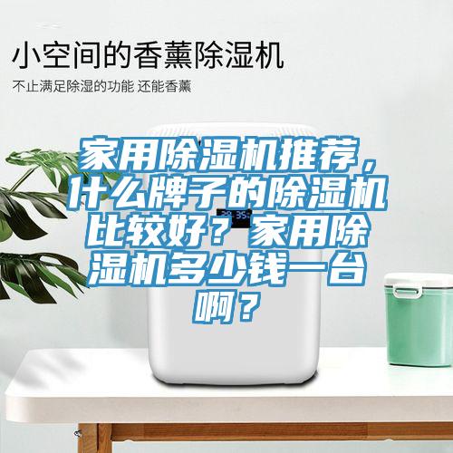 家用除濕機(jī)推薦，什么牌子的除濕機(jī)比較好？家用除濕機(jī)多少錢一臺?。?></div>
								<div   id=